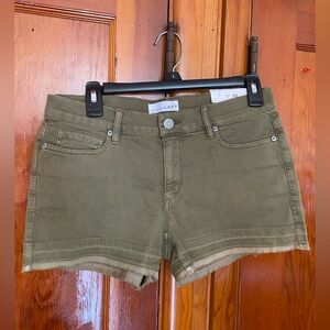 LOFT Size 2/26 Shorts NWT